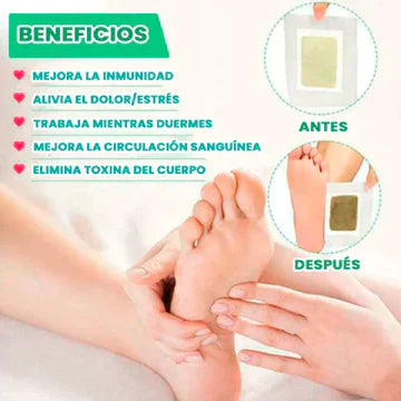 🌿 Parches Desintoxicantes Kinoki - Mejora tu salud y energía 🌿